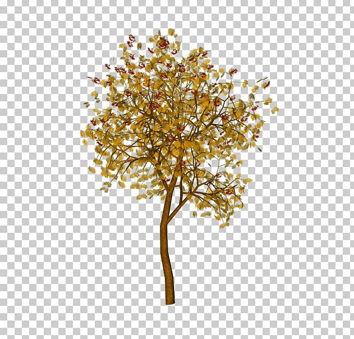 Maple PNG, Clipart, Architecture, Autumn, Autumn Leaf Color, Branch, Decorative Patterns Free PNG Download