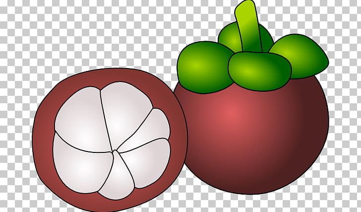 Purple Mangosteen Computer Icons PNG, Clipart, Apple, Circle, Computer Icons, Desktop Wallpaper, Download Free PNG Download