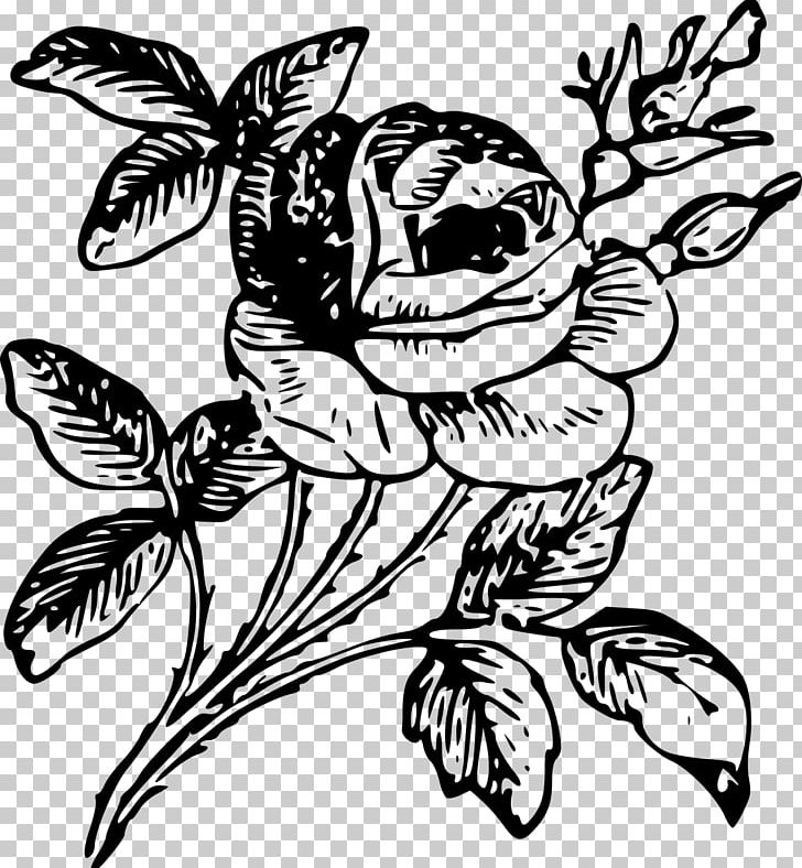 Rose Engraving Etching Flower PNG, Clipart, Art, Artwork, Black And White, Drawing, Fictional Character Free PNG Download
