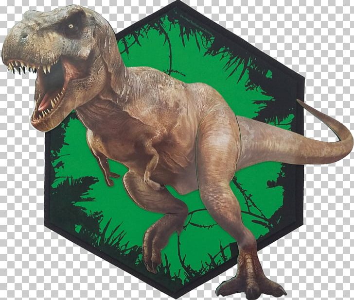 Tyrannosaurus Spinosaurus Giganotosaurus Dinosaur Theropods PNG, Clipart, Bipedalism, Carnivore, Fantasy, Fauna, Indominus Rex Free PNG Download
