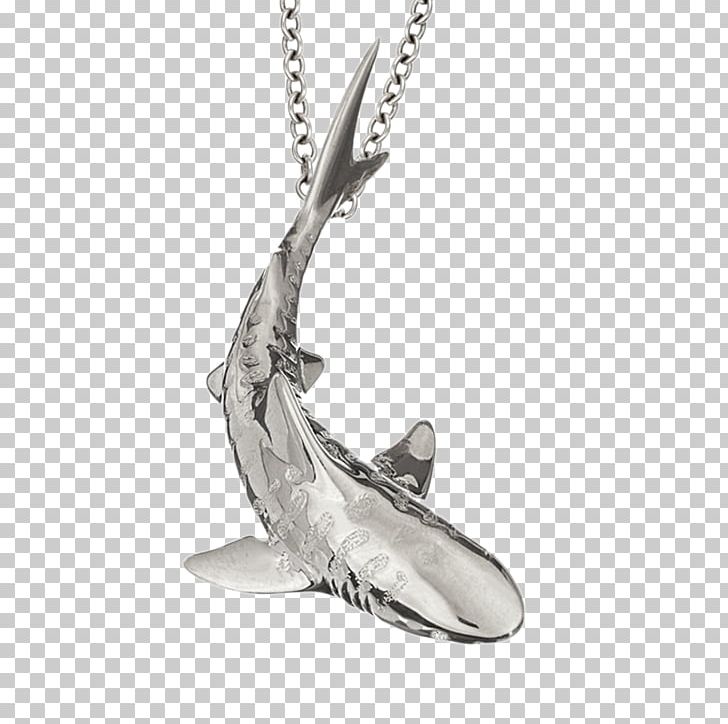 Charms & Pendants Earring Necklace Jewellery Amulet PNG, Clipart, Amulet, Big White Shark, Casket, Charms Pendants, Diamond Free PNG Download