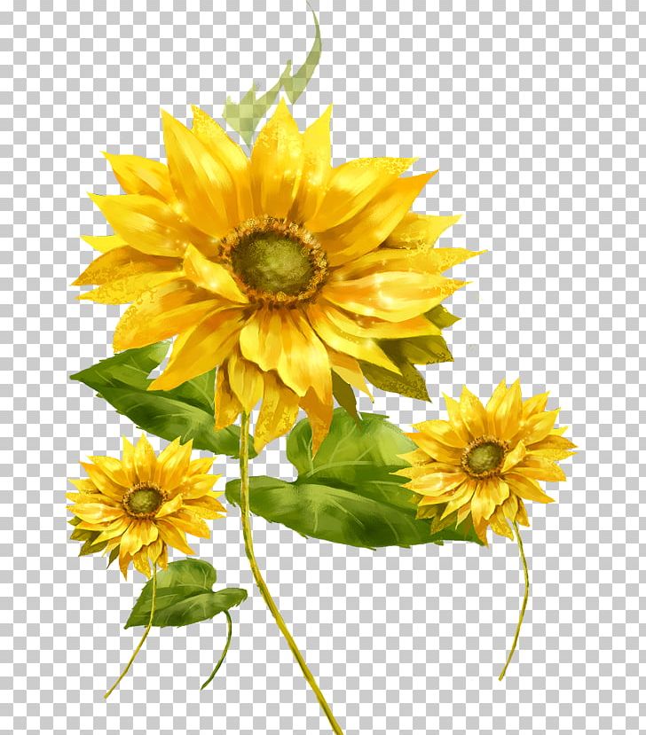 Common Sunflower Frame Illustration PNG, Clipart, Dahlia, Daisy Family, Data, Flower, Flower Arranging Free PNG Download