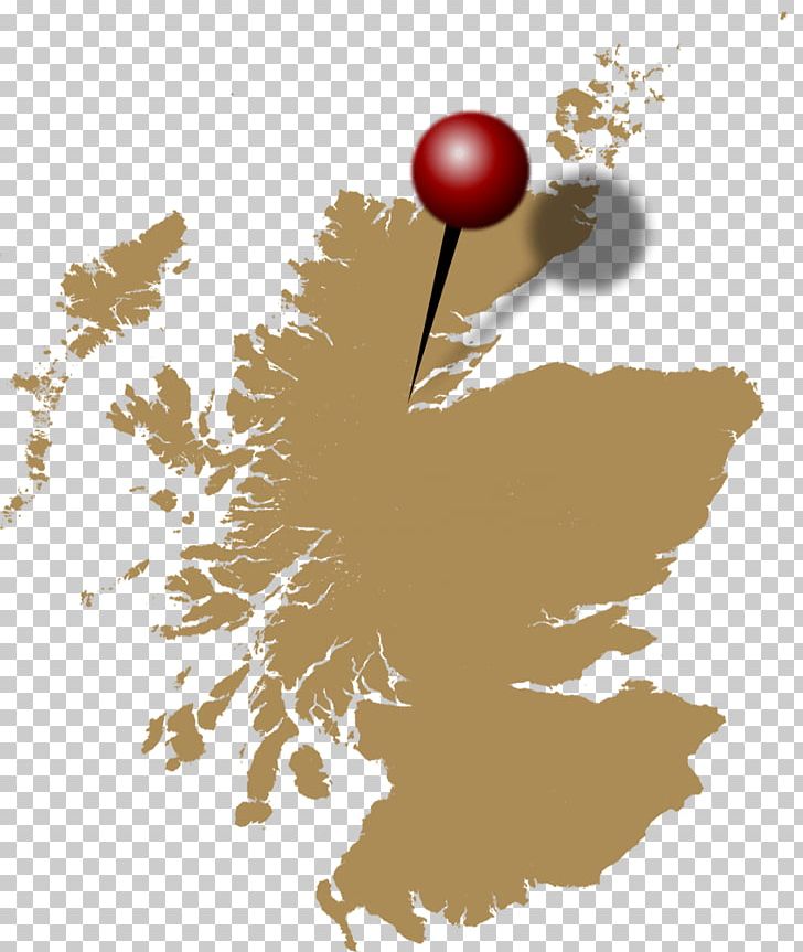 Scotland Map PNG, Clipart, Blank Map, Branch, Flower, Geography, Glen Ord Distillery Free PNG Download