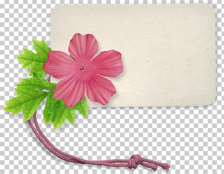 Scrapbooking .net Label PNG, Clipart, Flower, Flowering Plant, Label, Mallow Family, Malvales Free PNG Download