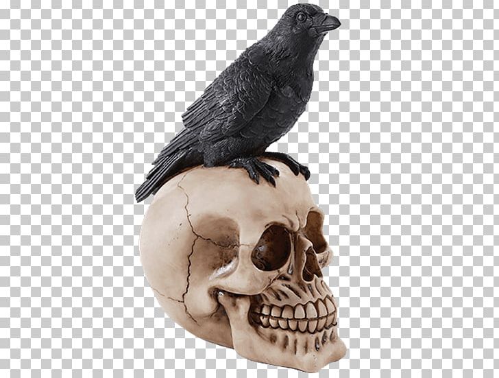 The Raven Common Raven Rook American Crow Bird PNG, Clipart, American Crow, Animals, Beak, Bird, Bone Free PNG Download