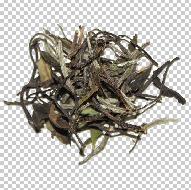 Baihao Yinzhen Nilgiri Tea White Tea Earl Grey Tea PNG, Clipart, Assam Tea, Baihao Yinzhen, Bai Mudan, Bancha, Biluochun Free PNG Download
