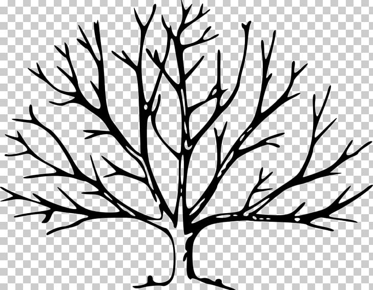 Tree Branch Oak Leaf PNG, Clipart, Artwork, Berries, Black And White, Branch, Coloring Book Free PNG Download