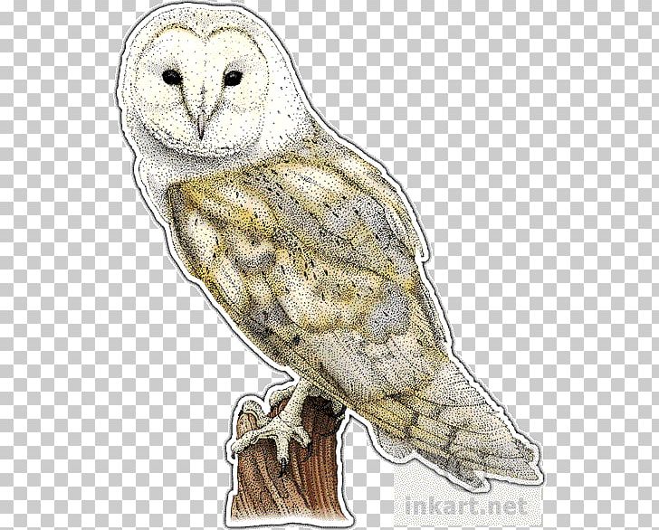 Great Grey Owl Bird Barn Owl PNG, Clipart, Animal, Animals, Barn, Barn Owl, Beak Free PNG Download