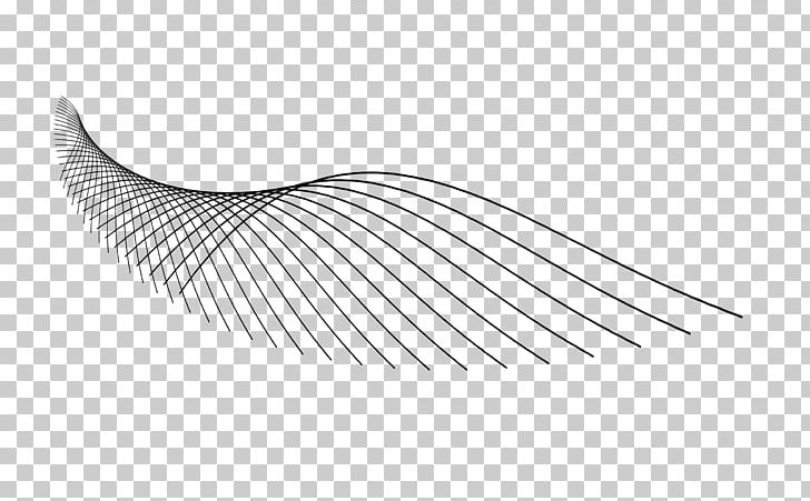 Line Art Angle PNG, Clipart, Angle, Art, Line, Line Art, Wing Free PNG Download