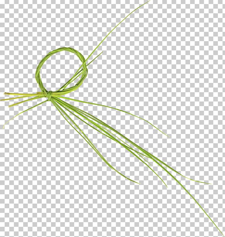 Green Drawing PNG, Clipart, Angle, Animation, Background Green, Circle, Digital Image Free PNG Download