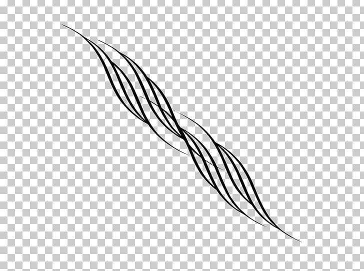 Line Art Feather Monochrome Photography PNG, Clipart, Beak, Black And White, Feather, Flowering Plant, Invertebrate Free PNG Download