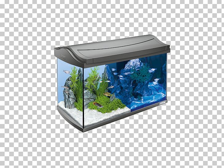 Siamese Fighting Fish Goldfish Aquarium Tetra Light-emitting Diode PNG, Clipart, Aquarium, Aquarium Filters, Aquarium Fish Feed, Aquarium Lighting, Fish Free PNG Download