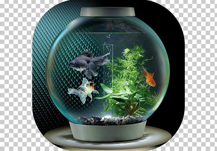 Siamese Fighting Fish Goldfish Shree Aquarium PNG, Clipart, Animals, Aquarium, Aquarium Filters, Aquarium Fish Feed, Aquariums Free PNG Download