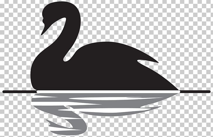 The Black Swan: The Impact Of The Highly Improbable Advaita Vedanta Yoga Psychology Indian Philosophy PNG, Clipart, Adi Shankara, Advaita Vedanta, Animals, Beak, Bird Free PNG Download
