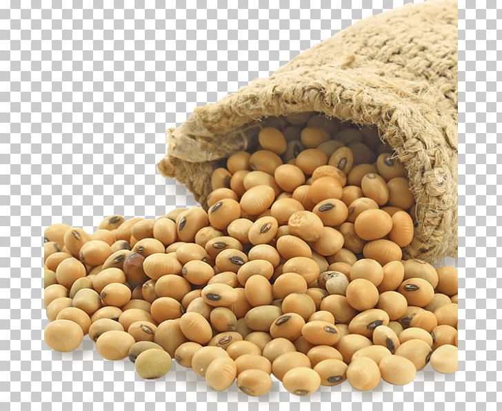 Soybean Meal Vegetarian Cuisine Food Lecithin PNG, Clipart, Bean, Beans, Cereal, Commodity, Essential Amino Acid Free PNG Download