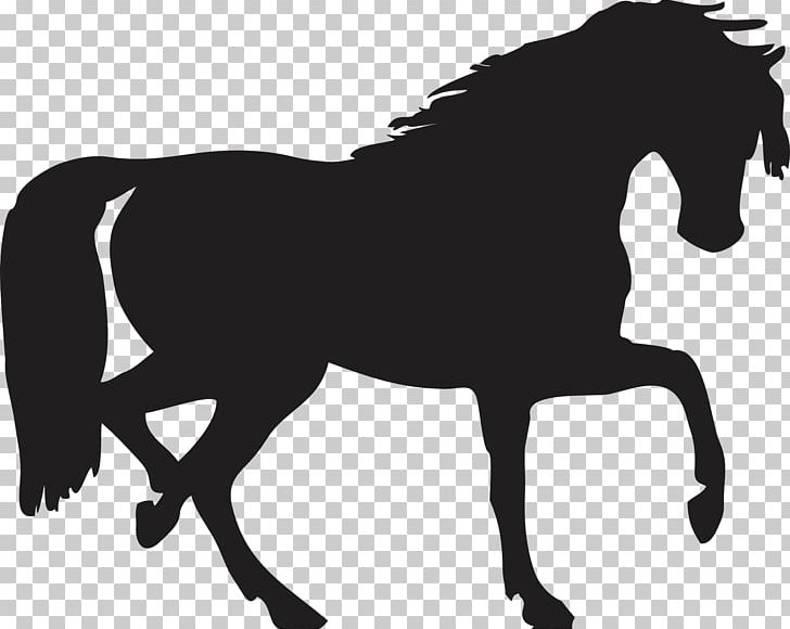 Horse Pony Silhouette Shadow PNG, Clipart, Animals, Black And White, Bridle, Catsofinstagram, Colt Free PNG Download