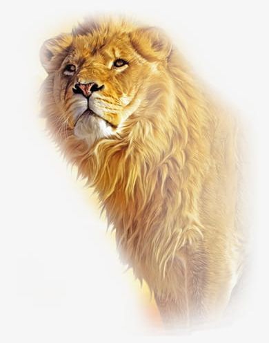 Lion Material PNG, Clipart, Animal, Chain, Ferocious, Food, Food Chain Free PNG Download