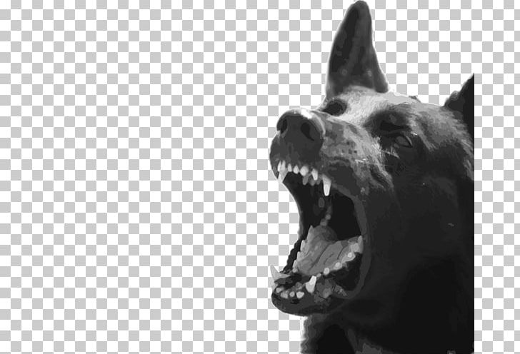 Dog Breed Biting Dog Bite Animal Bite PNG, Clipart, Aggression, Animal, Animal Bite, Biting, Black And White Free PNG Download