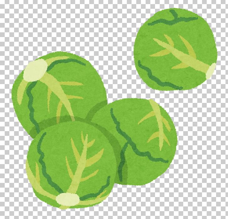 Fruit Brussels Sprout Cabbage Food プチヴェール PNG, Clipart, Broccoli, Brussels Sprout, Cabbage, Cauliflower, Dietary Fiber Free PNG Download