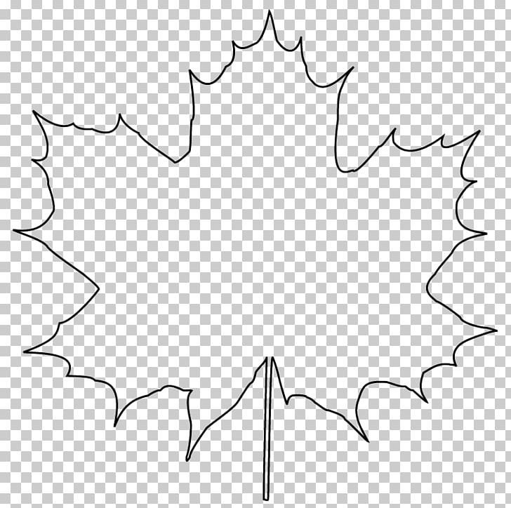 Line Symmetry Leaf Black And White Pattern PNG, Clipart, Angle, Area, Black, Black And White, Leaf Free PNG Download
