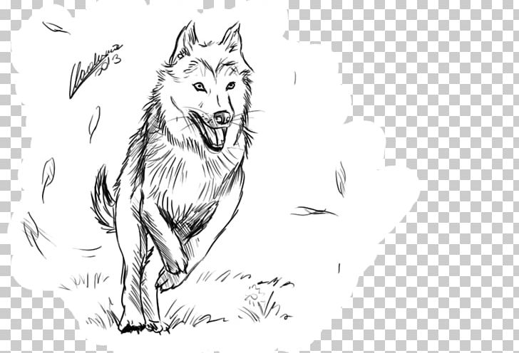 Red Fox Gray Wolf Line Art Whiskers Sketch PNG, Clipart, Artwork, Black And White, Carnivoran, Cartoon, Character Free PNG Download