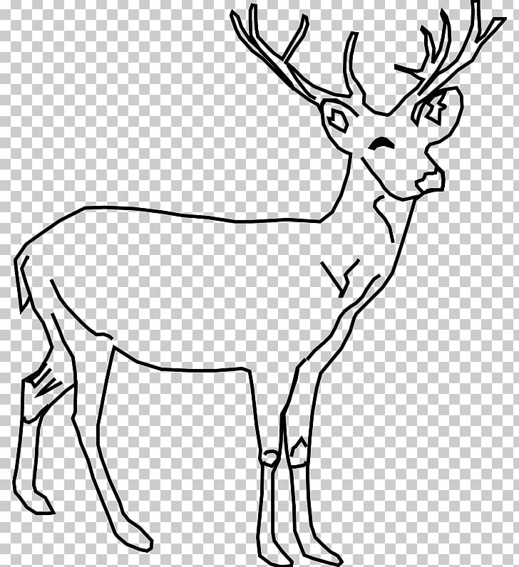 White-tailed Deer Moose Red Deer PNG, Clipart, Animals, Antler, Black And White, Button Buck, Deer Free PNG Download