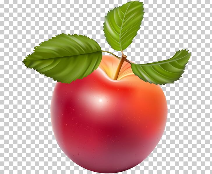 Apple PNG, Clipart, Apple, Berry, Diagram, Diet Food, Food Free PNG Download