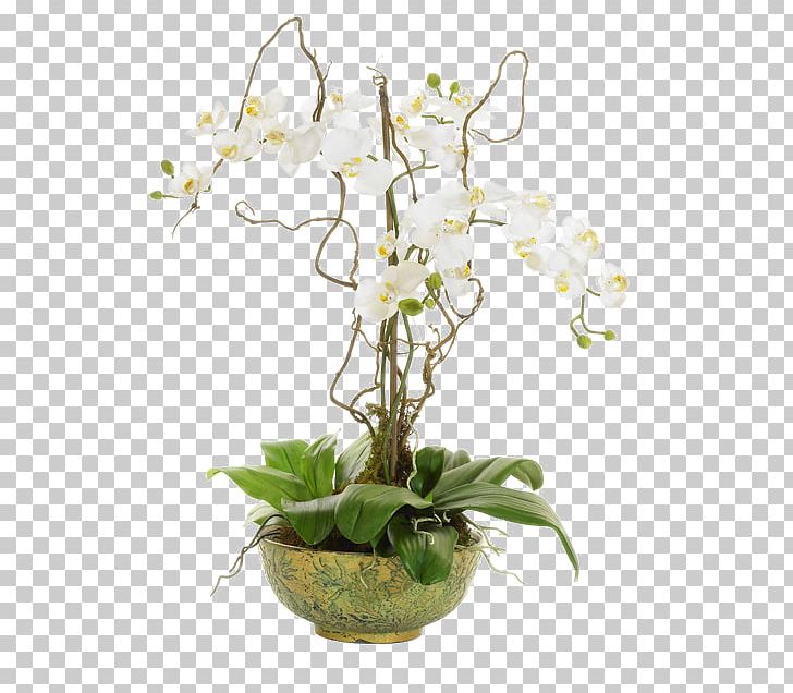 Moth Orchids Flower Vine Floral Design PNG, Clipart, Artificial Flower, Dendrobium, Flora, Floristry, Flower Arranging Free PNG Download