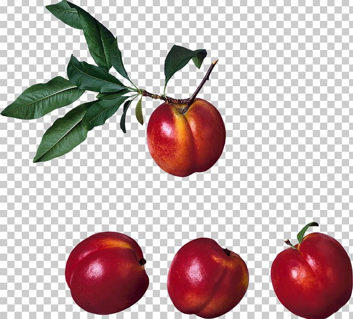 Nectarine PNG, Clipart, Accessory Fruit, Acerola , Apple, Auglis, Cherry Free PNG Download