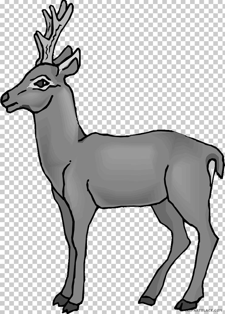 Reindeer Antler PNG, Clipart, Anim, Animals, Antler, Black And White, Cartoon Free PNG Download