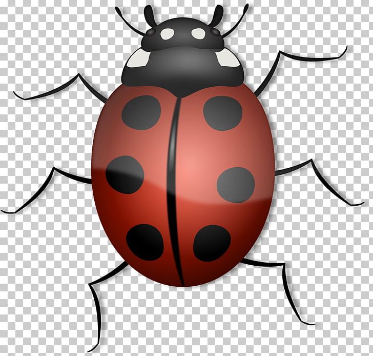 Beetle Ladybird PNG, Clipart, Animals, Arthropod, Beetle, Blog, Bugs Free PNG Download