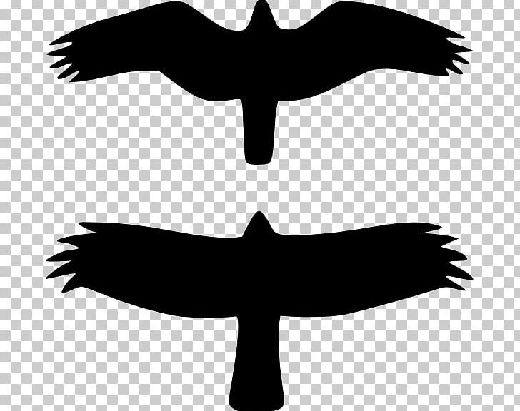 Bird Of Prey Bald Eagle Silhouette PNG, Clipart, Animals, Artwork, Bald Eagle, Beak, Bird Free PNG Download