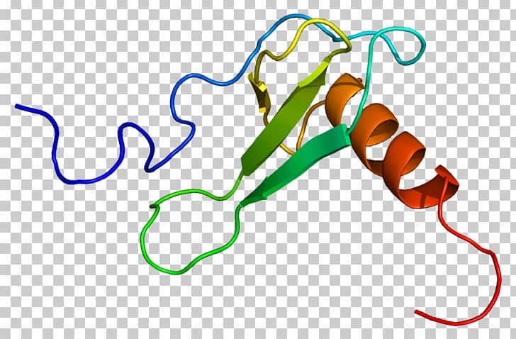 CCL11 Eosinophil Chemotaxis Factores Quimiotácticos De Los Eosinófilos Eotaxin PNG, Clipart, Area, Artwork, Cc Chemokine Receptors, Ccl, Chemokine Free PNG Download