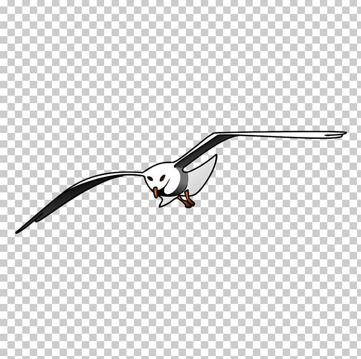 Gulls European Herring Gull Bird PNG, Clipart, Angle, Art, Beak, Bird, Bird Of Prey Free PNG Download