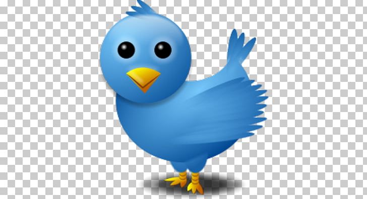Social Media Social Networking Service Hashtag Blog Twitter PNG, Clipart, Beak, Bird, Bird Icon, Blog, Chicken Free PNG Download