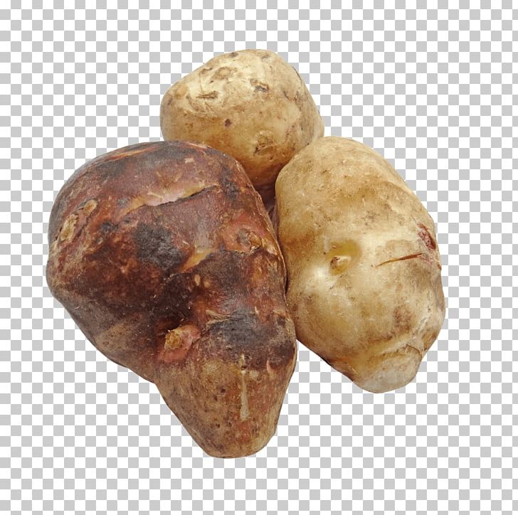 Tuber Potato Root Vegetables Jerusalem Artichoke PNG, Clipart, Arracacia Xanthorrhiza, Artichoke, Food, Inulin, Jerusalem Artichoke Free PNG Download