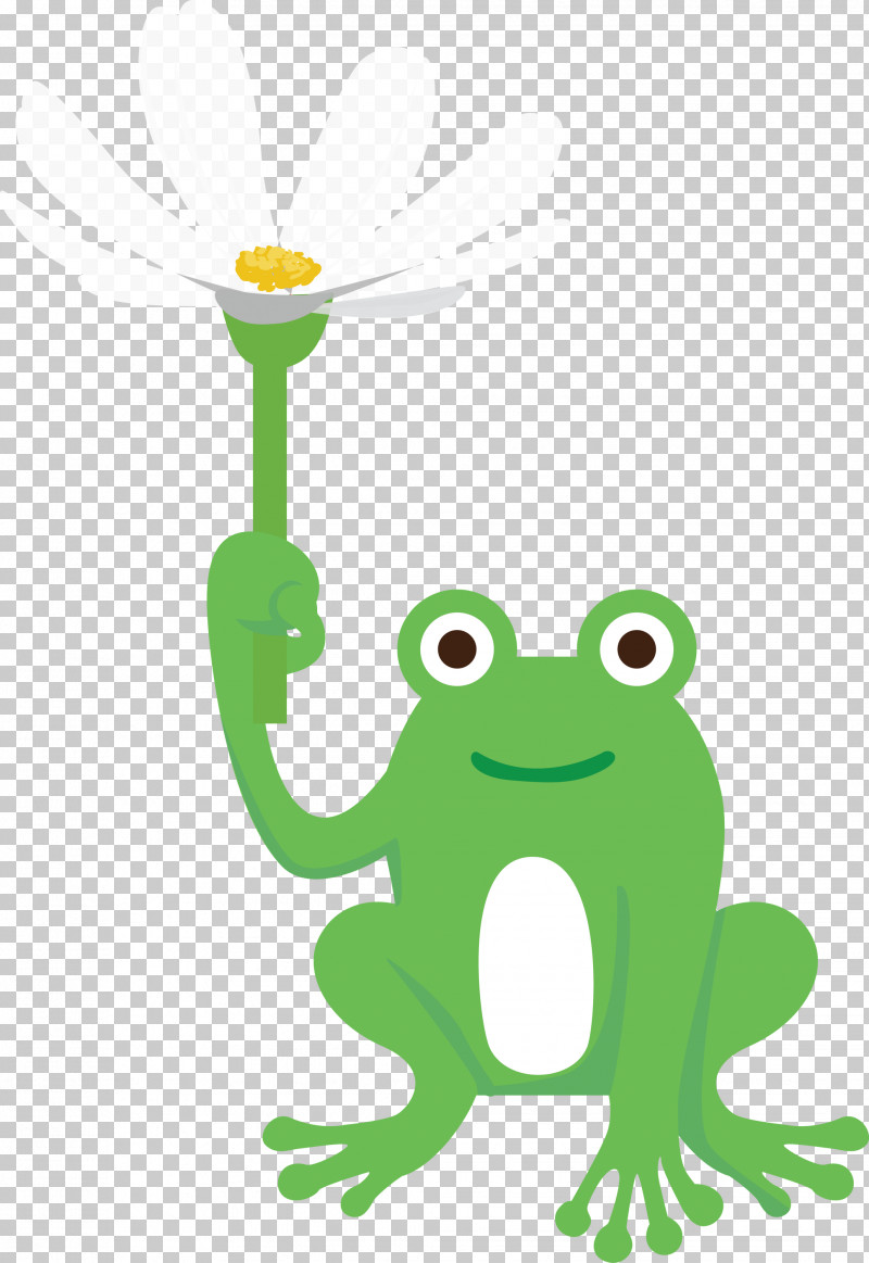 Frogs Tree Frog Cartoon Green Meter PNG, Clipart, Biology, Cartoon, Frog, Frogs, Green Free PNG Download