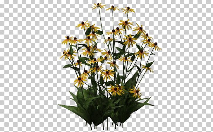 Cut Flowers Floral Design Plant Stem PNG, Clipart, Architecture, Black Eye, Blackeyed Susan, Com, Cut Flowers Free PNG Download
