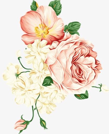 Pink Peony PNG, Clipart, Bouquet, Flower, Flowers, Flower Vine, Ink Free PNG Download