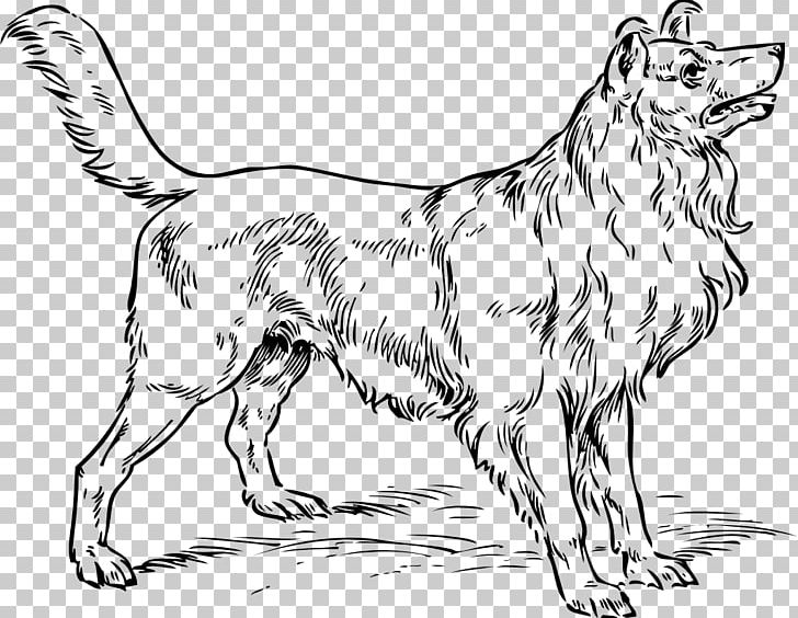 Rough Collie Longdog Border Collie Puppy PNG, Clipart, Animal Figure, Animals, Artwork, Bark, Black And White Free PNG Download