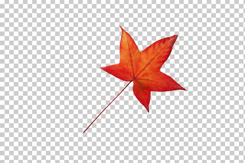 Leaf Maple Leaf / M Red M-tree Tree PNG, Clipart, Biology, Leaf, Maple Leaf M, Mtree, Plants Free PNG Download