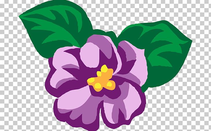 African Violets PNG, Clipart, African Violets, Download, Drawing, Floral Design, Flower Free PNG Download
