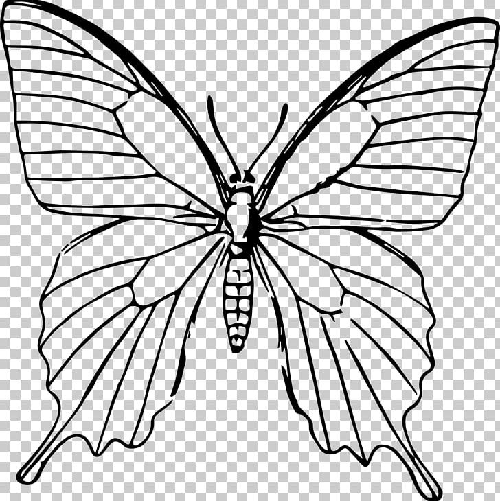 Butterfly Drawing Sketch PNG, Clipart, Art, Arthropod, Artwork, Brush Footed Butterfly, Fictional Character Free PNG Download