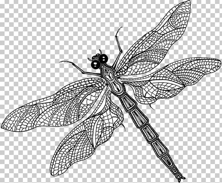 Butterfly What Is An Insect? Dragonfly Insect Wing PNG, Clipart, Animal, Arthropod, Black And White, Butterflies And Moths, Dragonflies And Damseflies Free PNG Download