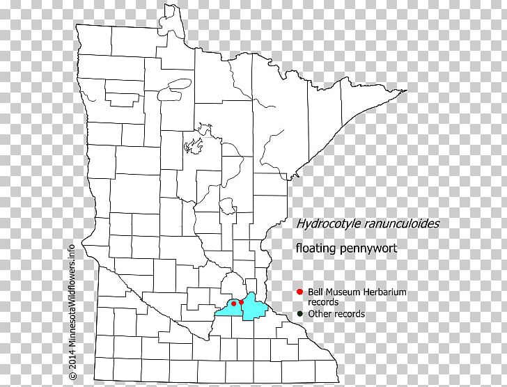 Douglas County PNG, Clipart, Angle, Area, Beltrami County Minnesota, Black And White, Blue Earth County Minnesota Free PNG Download