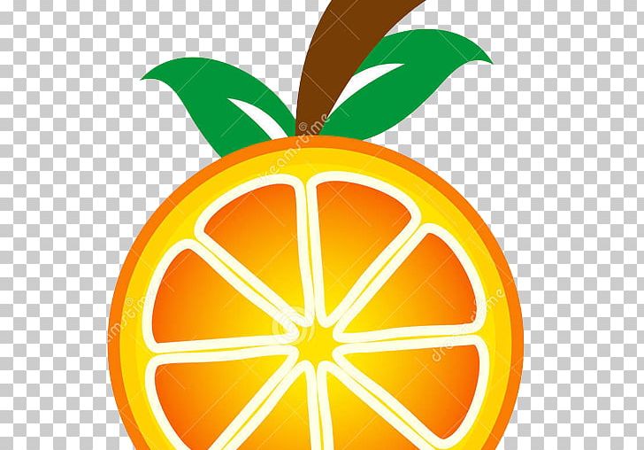 Orange Juice Animaatio PNG, Clipart, Animaatio, Apple, Cartoon Camera, Circle, Citrus Free PNG Download