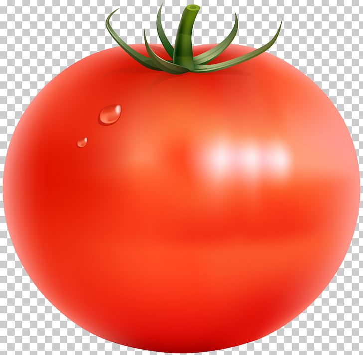 Tomato Vegetable PNG, Clipart, Apple, Bush Tomato, Cherry, Cherry Tomato, Clipart Free PNG Download