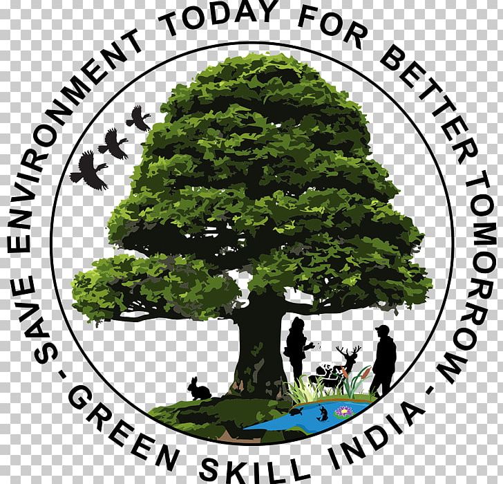 Bonsai United States Government Of India Organization Tree PNG, Clipart, Arboriculture, Biodiversity, Bonsai, Branch, Environmental Information Free PNG Download
