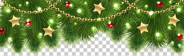 Christmas Decoration Christmas Tree PNG, Clipart, Art, Biome, Branch, Christmas, Christmas Clipart Free PNG Download