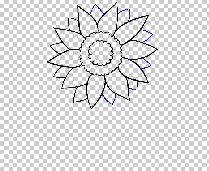 Drawing Common Sunflower Art Sketch PNG, Clipart, Angle, Area, Art, Artist, Art Museum Free PNG Download